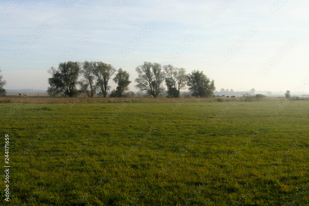 Lichtstimmung am Abend bei Zarrenzin mit Blick zur Insel Bock im Nationalpark Vorpommersche Boddenlandschaft, Mecklenburg Vorpommern, Deutschland Lichtstimmung am Abend bei Zarrenzin mit Blick zur Insel Bock im Nationalpark Vorpommersche Boddenlandschaft, Mecklenburg Vorpommern, Deutschland