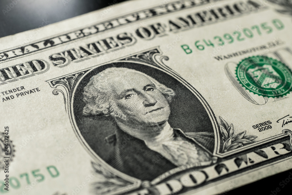 Macro One Dollar Bills Macro One Dollar Bills