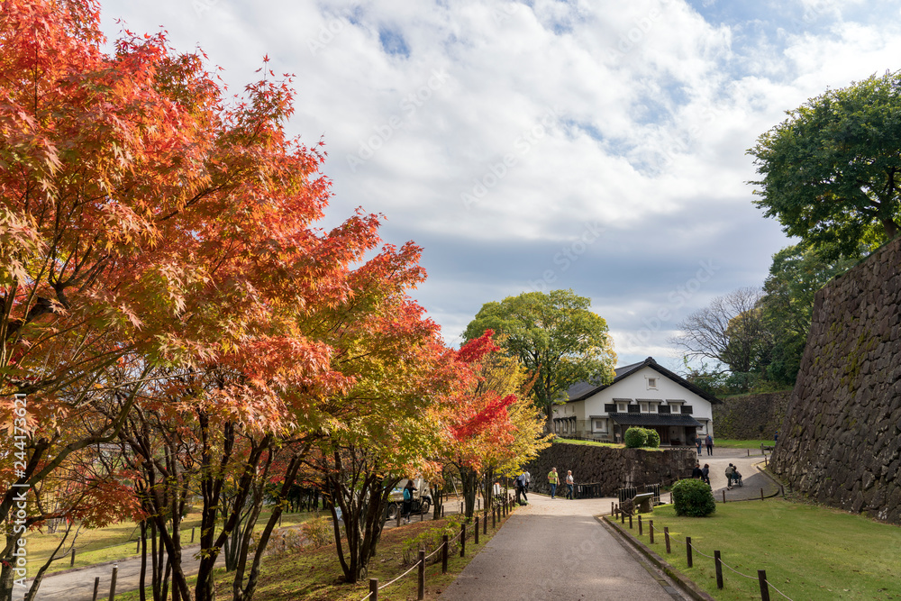秋の金沢城公園
