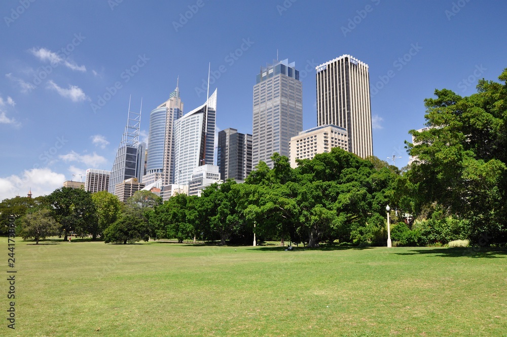 Sydney Skyline from Royal Botanic Gardens