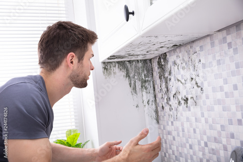 Fotografie Man Looking At Mold On Wall