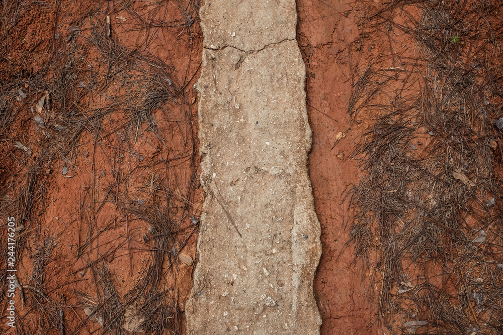 Fototapeta premium path texture