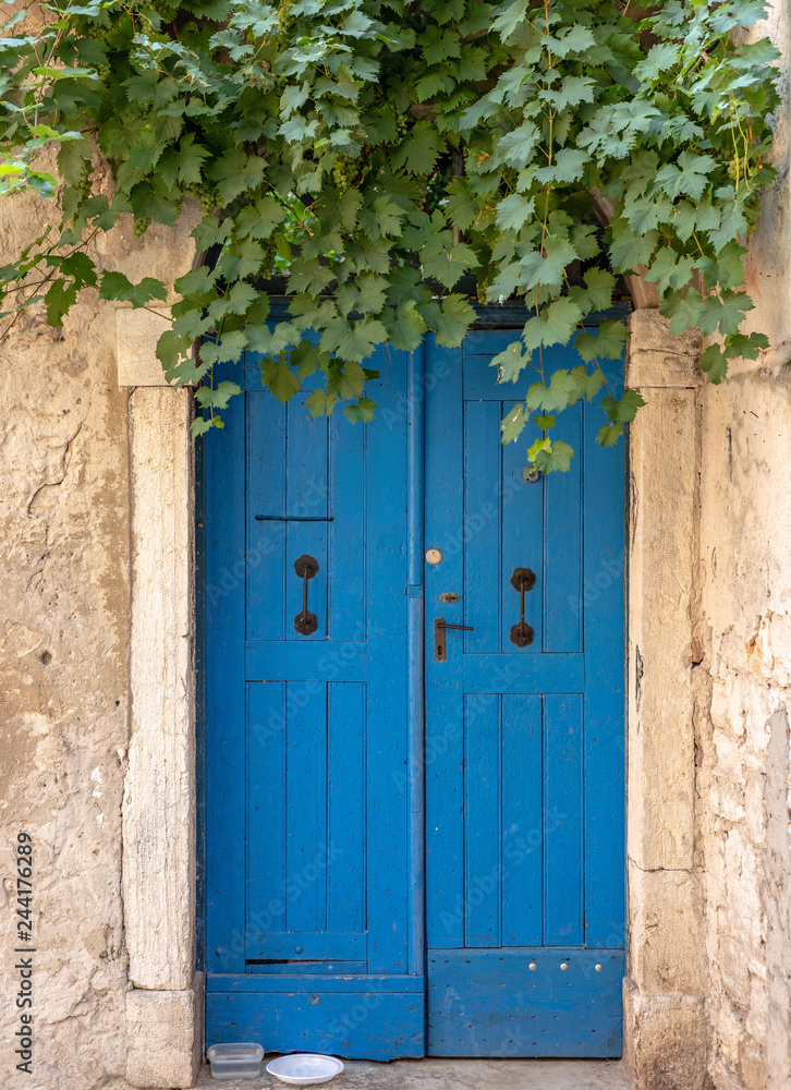 Fototapeta premium Blue. Door. Old Town. Architecture. Istria. Grapevine