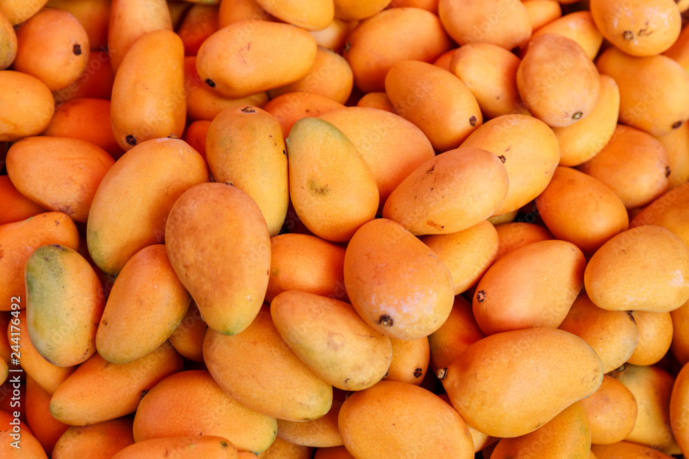 Fresh yellow mangoes the market. Healthy food. Fresh yellow mangoes the market. Healthy food.