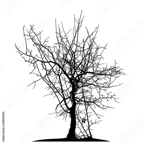 Realistic silhouette of a tree and Bush with bare branches