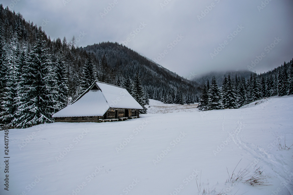 Winter house in mountains