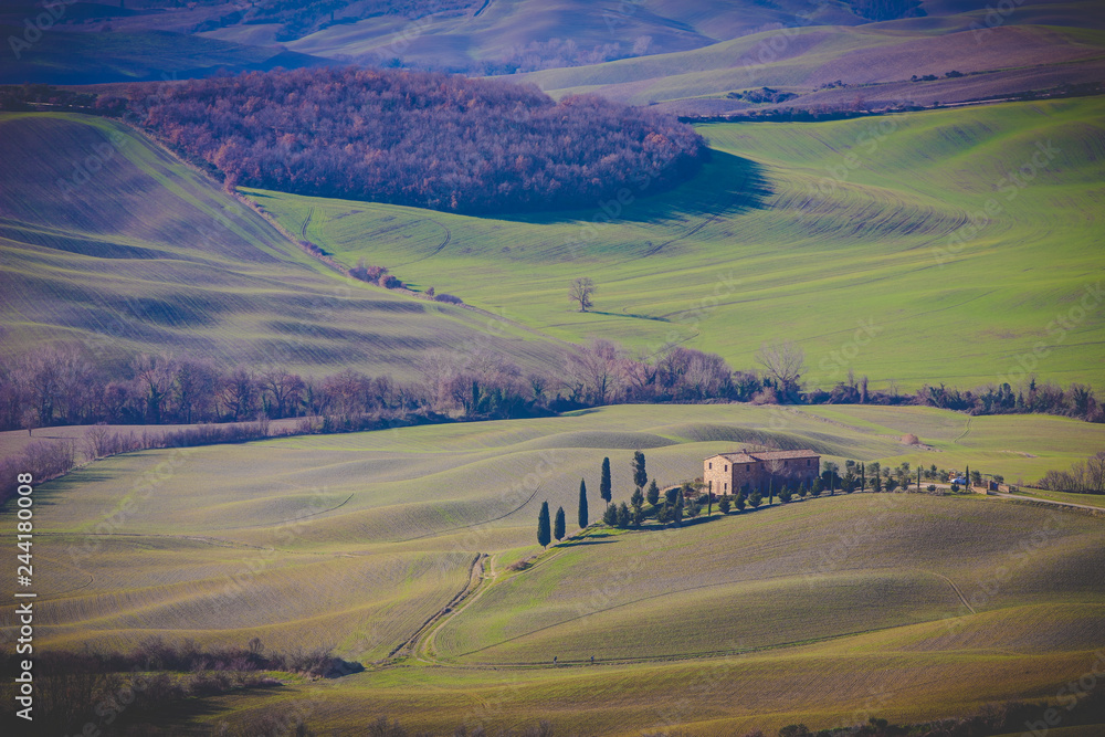 Naklejka premium Tuscany landscape
