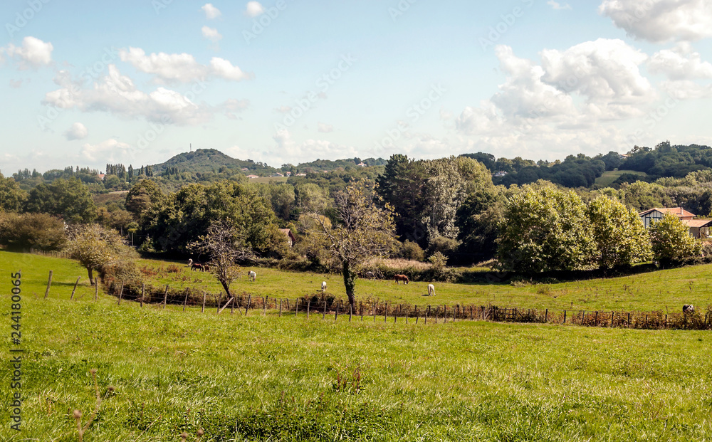 Obraz premium Rural village in the Austrian Alps on a cloudy day