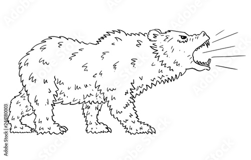Cartoon drawing conceptual illustration of roaring bear as symbols of falling market prices.
