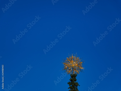 Fototapeta Naklejka Na Ścianę i Meble -  Blauer Himmel mit goldener Spitze auf einen Baum