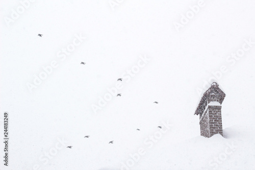 Birds in sky Concept image on winter season Showfall and Fog effect Beautiful Winter landscape scene background with snowfall Beauty winter backdrop Winter pattern or background. photo