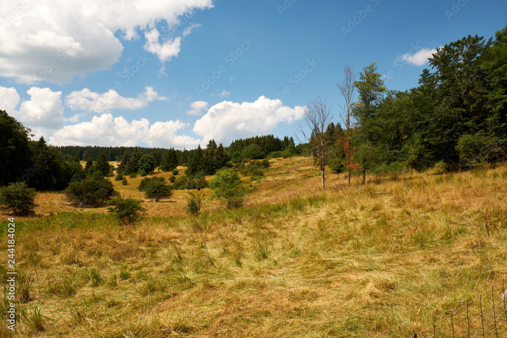 Fototapeta premium Am Bauersberg, Biosphärenreservat Rhön, Bischofsheim a.d.Rhön, Landkreis Rhön-Grabfeld, Unterfranken, Franken, Bayern, Deutschland.