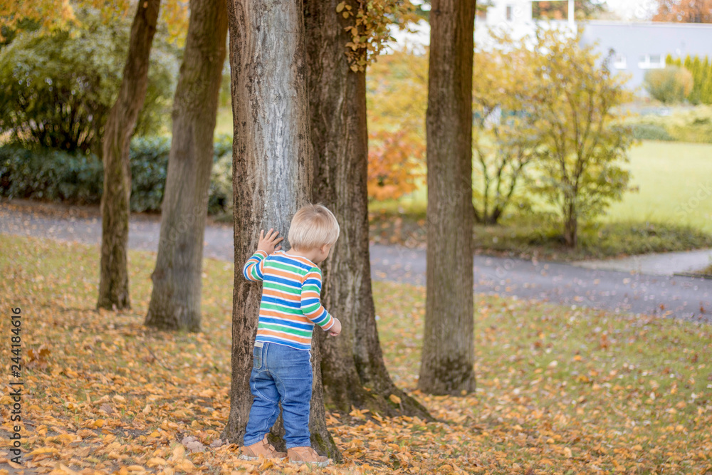 Adorable happ child, with blond hair peeking around the tree playing hide and seek in a park Adorable happ child, with blond hair peeking around the tree playing hide and seek in a park