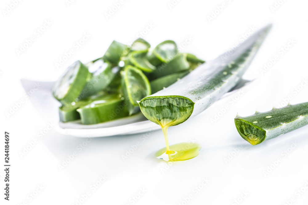 Obraz premium Slices of aloe vera with gel on white background