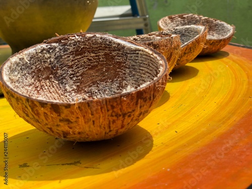 Dry coconut shell photo