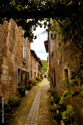 Saint-Jean-de-Cole is a medieval village in the north of the Dordogne, France photo