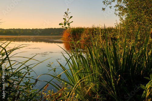 Sommermorgen im Vogelschutz- und Landschaftsschutzgebiet Sauerstücksee bei Grafenrheinfeld, Landkreis Schweinfurt, Unterfranken, Franken, Bayern, Deutschland. photo