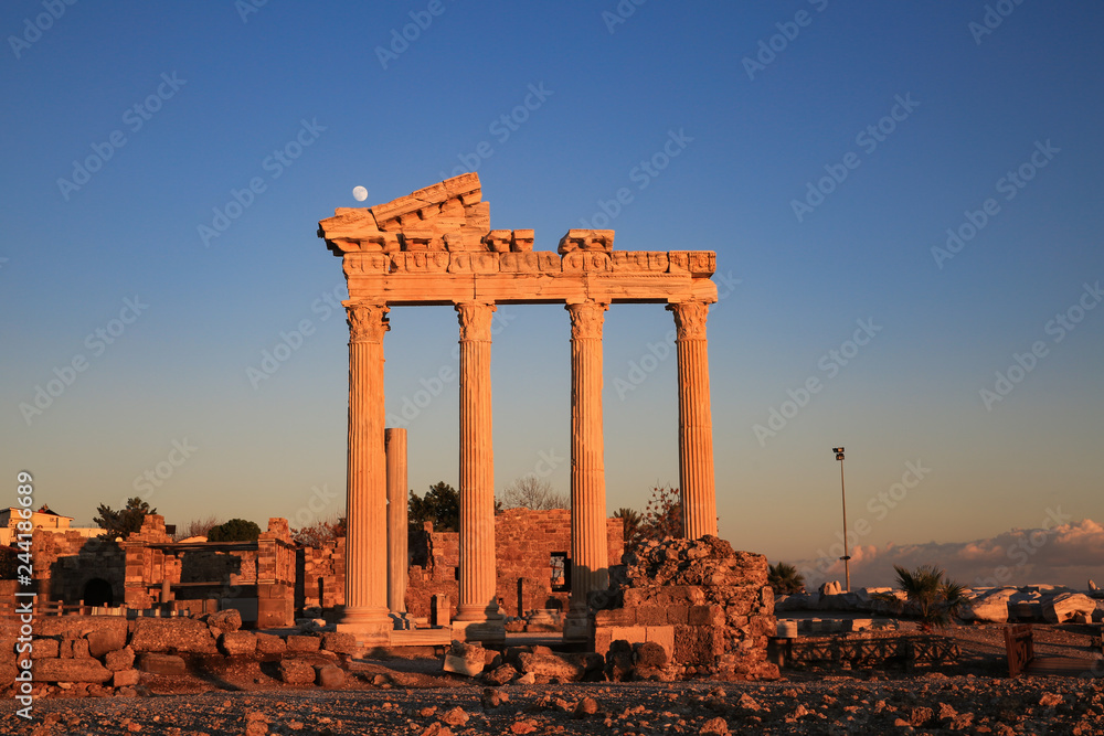 Fototapeta premium ruins of the roman forum