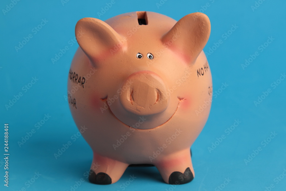 pig ceramic piggy bank with colorful backgrounds