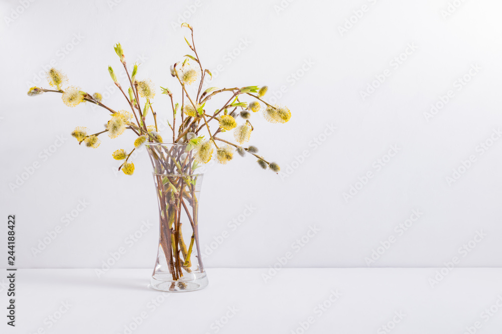 Obraz premium Willow branches in a vase