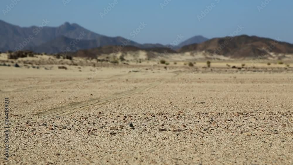 in the middle of the desert