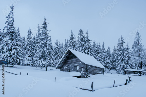 Snowy forest in the Carpathians. A small cozy wooden house covered with snow. The concept of peace and winter recreation in the mountains. Happy New Year