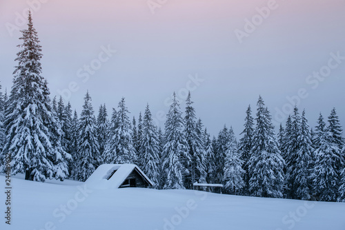 Snowy forest in the Carpathians. A small cozy wooden house covered with snow. The concept of peace and winter recreation in the mountains. Happy New Year photo