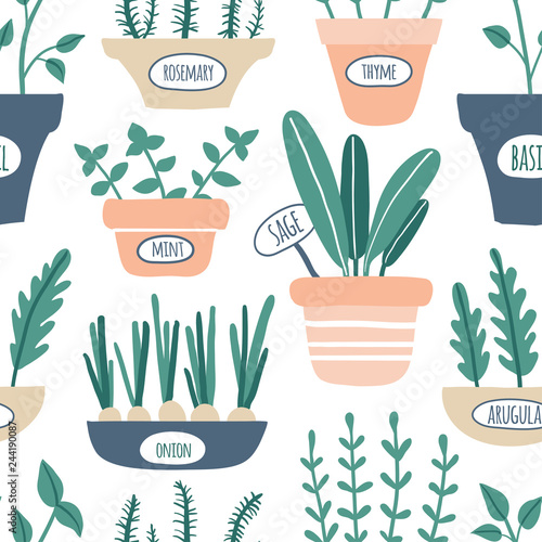 Kitchen herbs seamless pattern