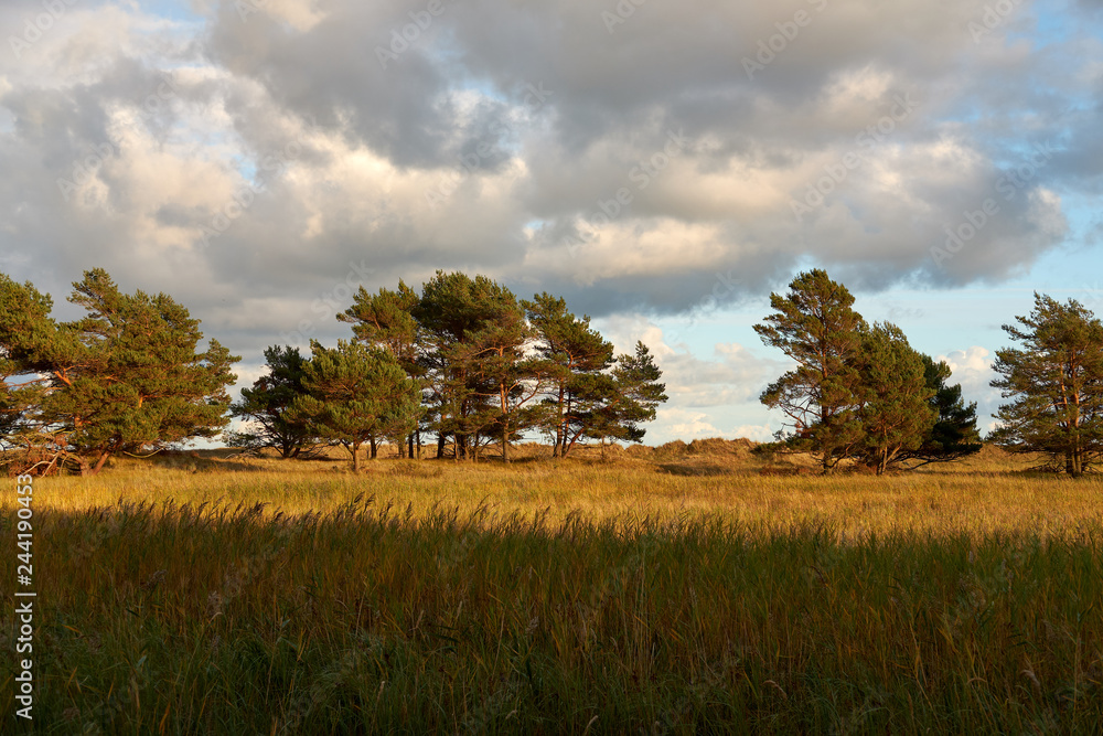 .Abend am Darßer Ort an der Ostsee in der Kernzone des Nationalpark Vorpommersche Boddenlandschaft am Darßer Weststrand, Mecklenburg Vorpommern, Deutschland. .Abend am Darßer Ort an der Ostsee in der Kernzone des Nationalpark Vorpommersche Boddenlandschaft am Darßer Weststrand, Mecklenburg Vorpommern, Deutschland.