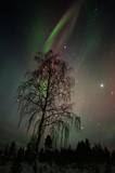 Night sky with Aurora Borealis and planet Jupiter above boreal forest in Finnish Lapland.
