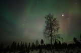 Night sky with Aurora Borealis, planet Jupiter and The Pleiades above boreal forest in Finnish Lapland.