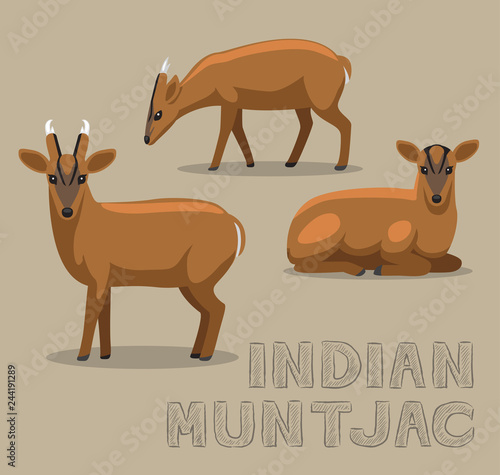 Deer Indian Muntjac Cartoon Vector Illustration photo