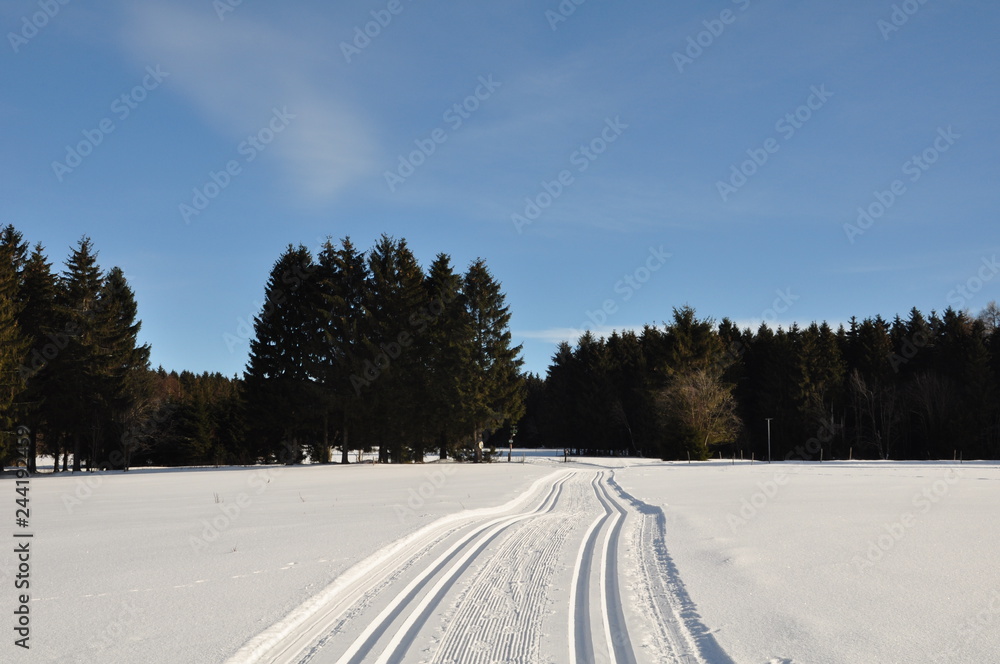 Obraz premium Winter in Ernstthal