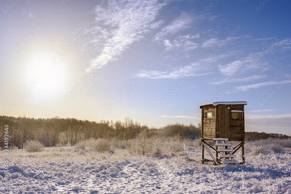hunter high seat in a snow covered winter landscape against a blue sky with a warm sun, copy space hunter high seat in a snow covered winter landscape against a blue sky with a warm sun, copy space