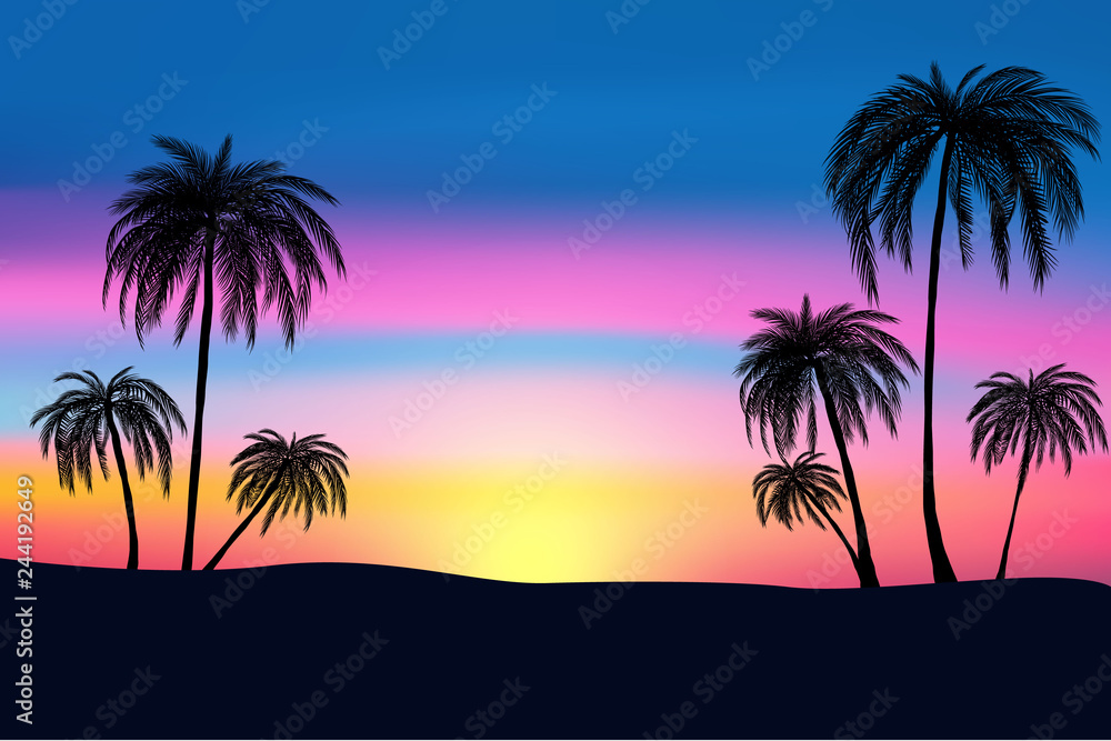 sunset and tropical palm trees with colorful landscape background, vector, eps 10 file