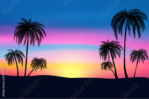 sunset and tropical palm trees with colorful landscape background, vector, eps 10 file