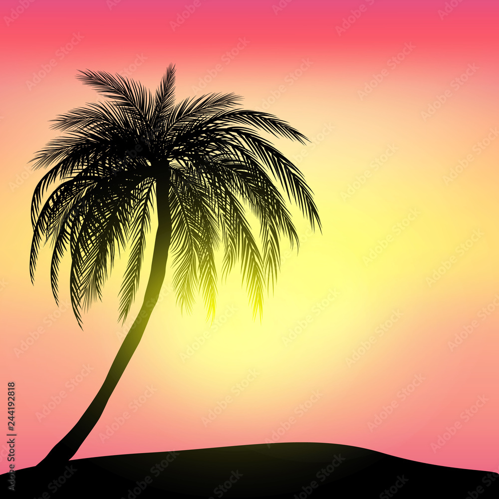 sunset and tropical palm tree with colorful landscape background, vector, eps 10 file
