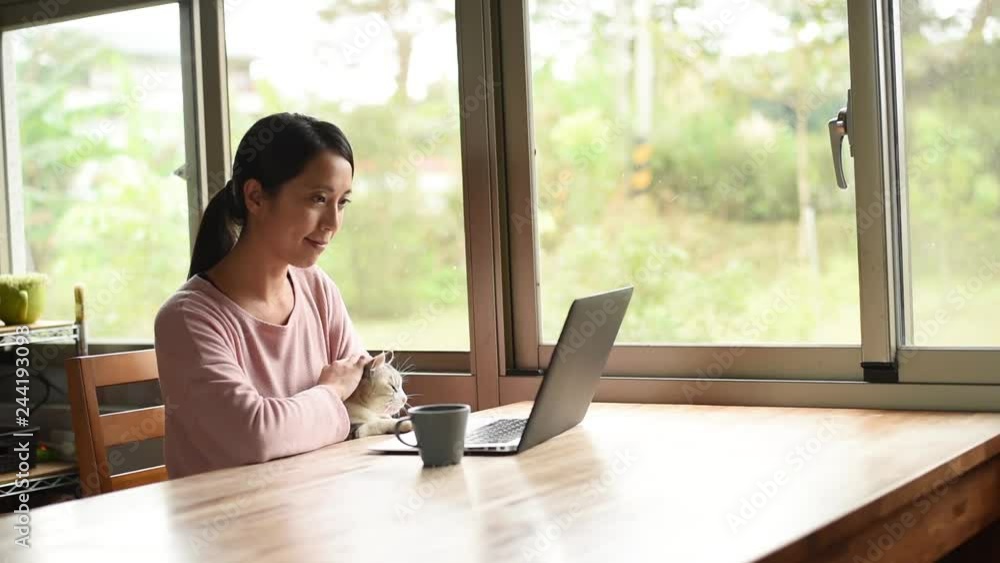 woman working at home with her cat woman working at home with her cat