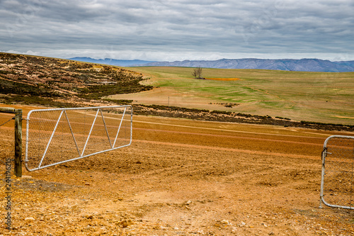 Open field photo