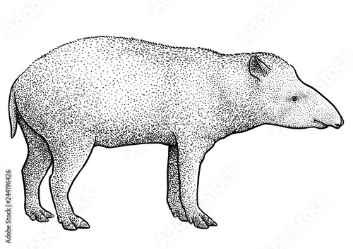 South American tapir illustration, drawing, engraving, ink, line art, vector