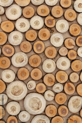Background of tree slices
