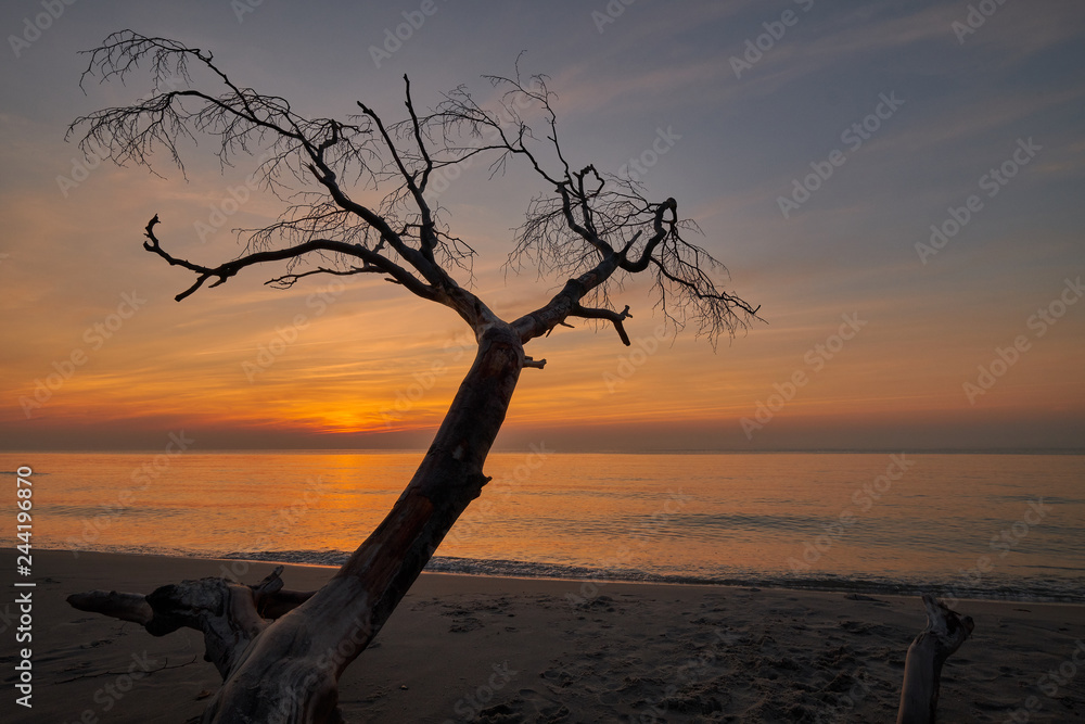 Lichtstimmung am Abend am Darßer Weststrand, Nationalpark Vorpommersche Boddenlandschaft, Mecklenburg Vorpommern, Deutschland Lichtstimmung am Abend am Darßer Weststrand, Nationalpark Vorpommersche Boddenlandschaft, Mecklenburg Vorpommern, Deutschland