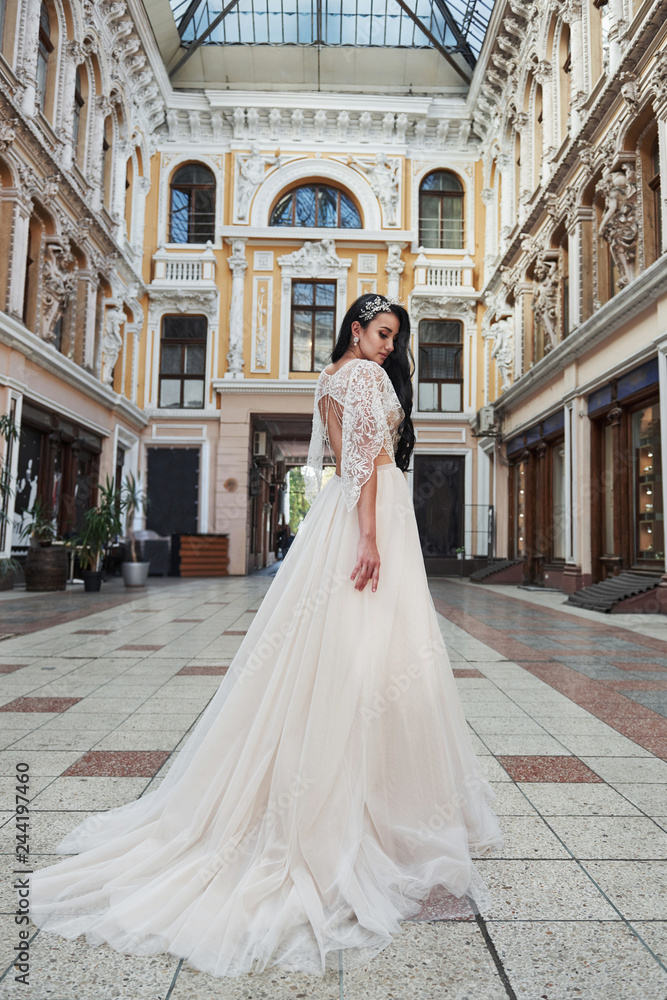 Obraz premium Beautiful, elegant bride with a perfect wedding dress, poses around beautiful architecture.