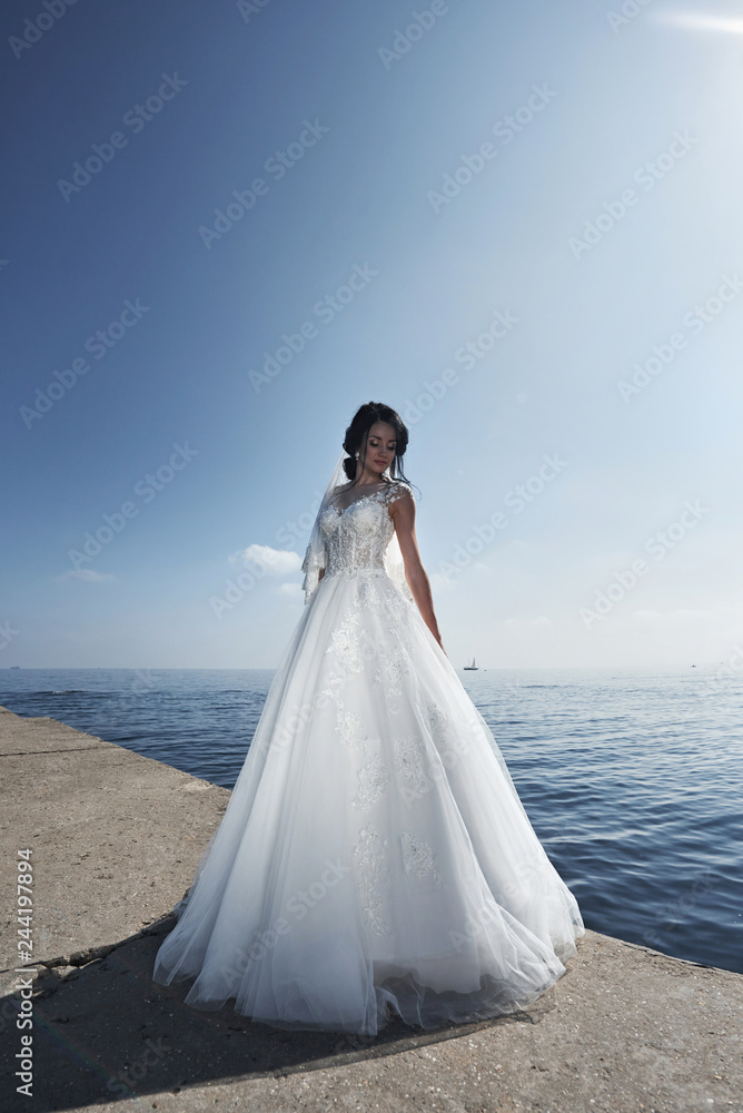 Bride in a wedding dress on the beach by the sea against the background of a blue sky Bride in a wedding dress on the beach by the sea against the background of a blue sky