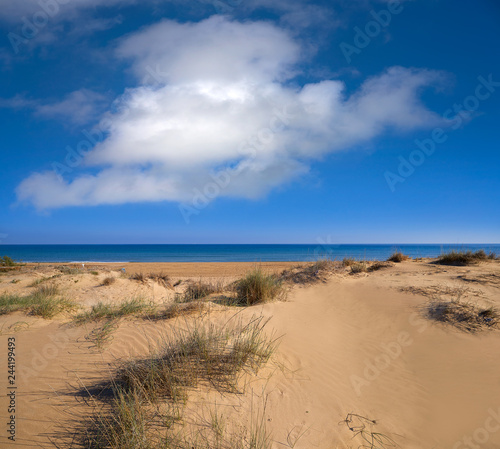 Fototapeta Naklejka Na Ścianę i Meble -  El Carabassi beach in Elx Elche of Alicante