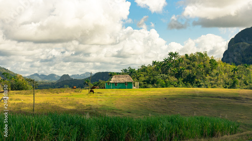 Tableau sur toile rural cuban landscape in vinales, cuba