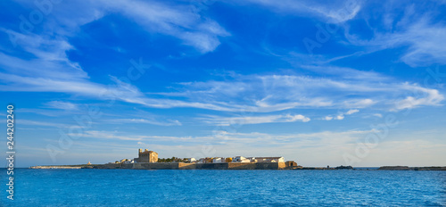 Fototapeta Naklejka Na Ścianę i Meble -  Nova Tabarca island skyline Alicante Spain