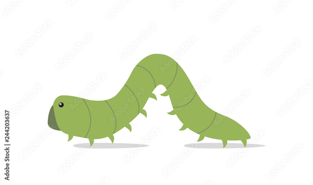 Obraz premium isolated green caterpillar