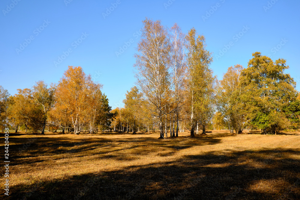 Herbst im Naturschutzgebiet Ried bei Grettstadt, Landkreis Schweinfurt, Unterfranken, Bayern, Deutschland Herbst im Naturschutzgebiet Ried bei Grettstadt, Landkreis Schweinfurt, Unterfranken, Bayern, Deutschland