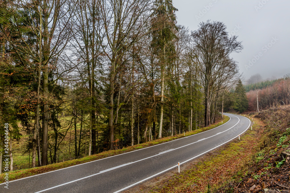 Fototapeta premium Aerial view of an empty forest road with a curve that disappears in the background between bare trees against a gray sky, nature reserve with abundant pine trees, winter day in the Belgian Ardennes